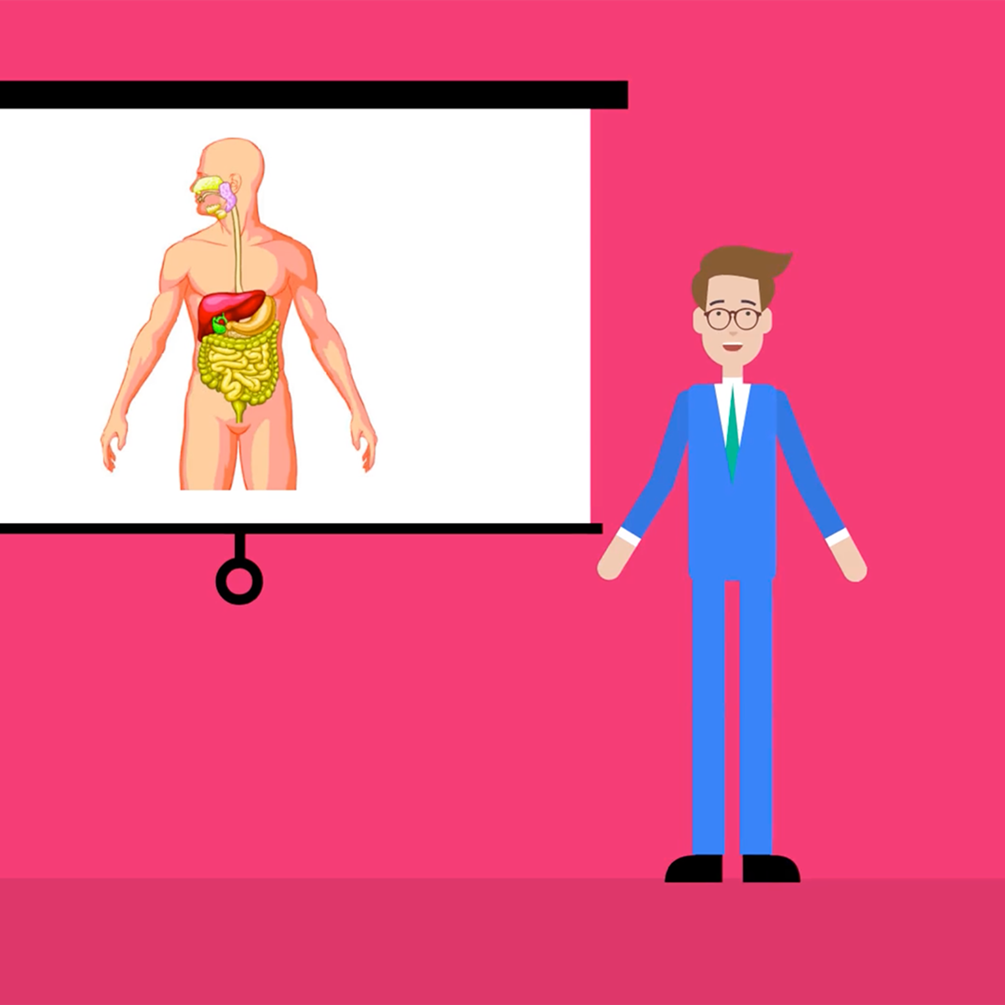 Meet Your Essential Organ, the Bioreactor.